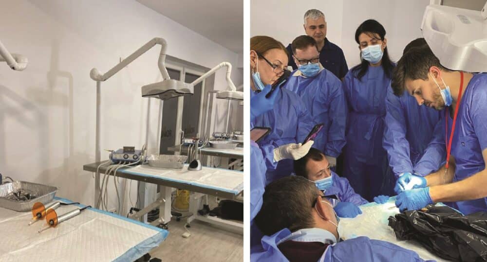 Acteon Veterinary: Your Trusted Expert in Veterinary Dental Care