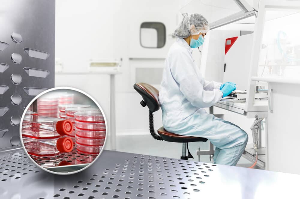 How CO2 Incubators Help to Avoid Contamination