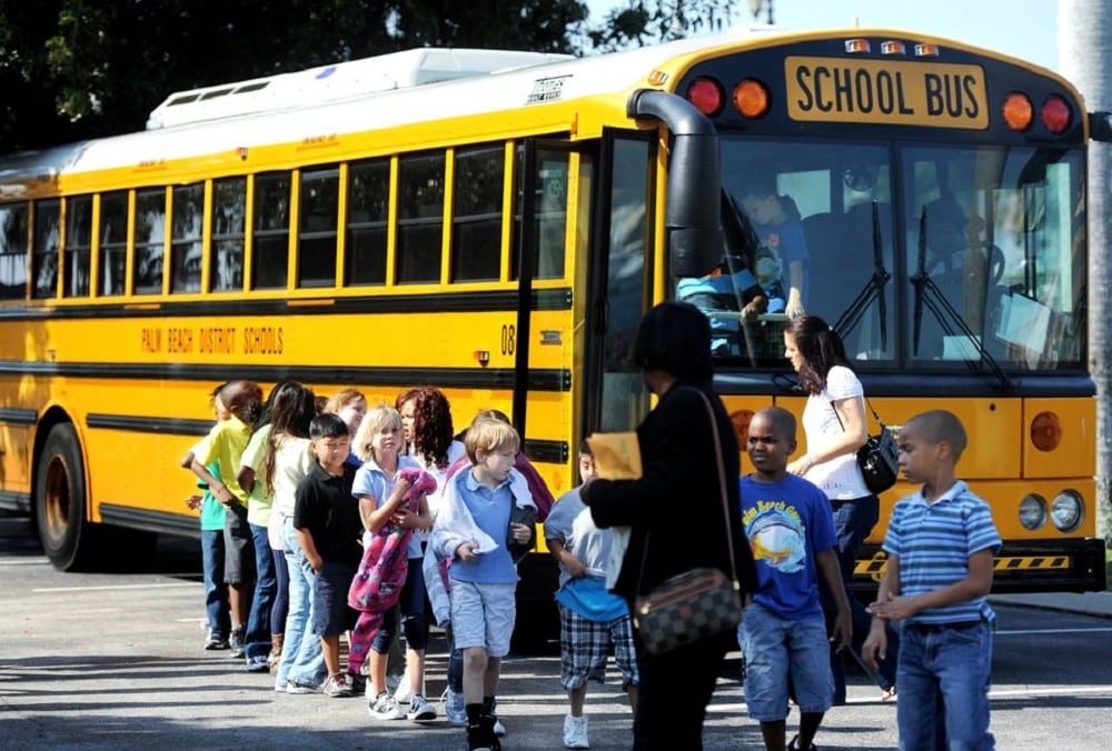 School buses. (Credit: Education News)