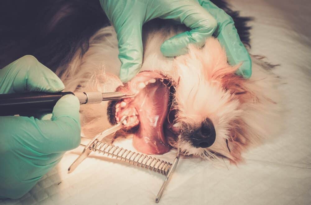 Photo by Nejron via Envato