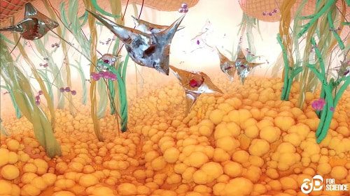 (Credit: 3DforScience)