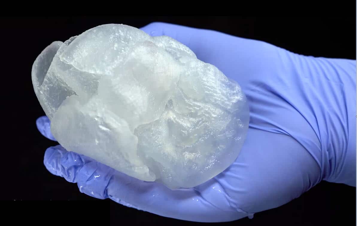"The alginate we use is a hydrogel that is widely used in the biomaterials and tissue engineering fields." (Credit: Carnegie Mellon University)