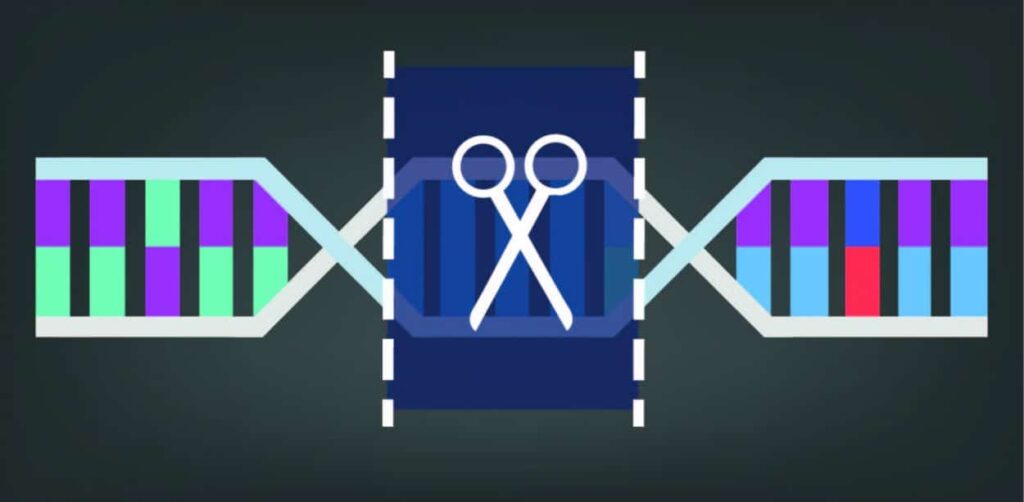 CRISPR-Cas9, A Troubling Genetic Revolution