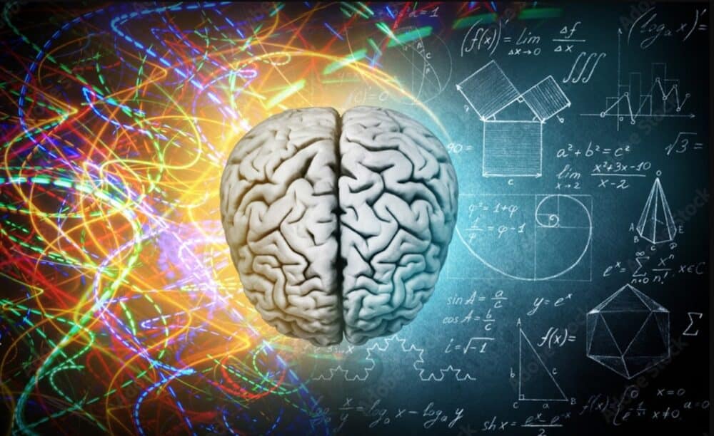 The human brain is estimated to contain around 86 billion neurons, forming an extensive interconnected network. (Credit: Adobe Stock)