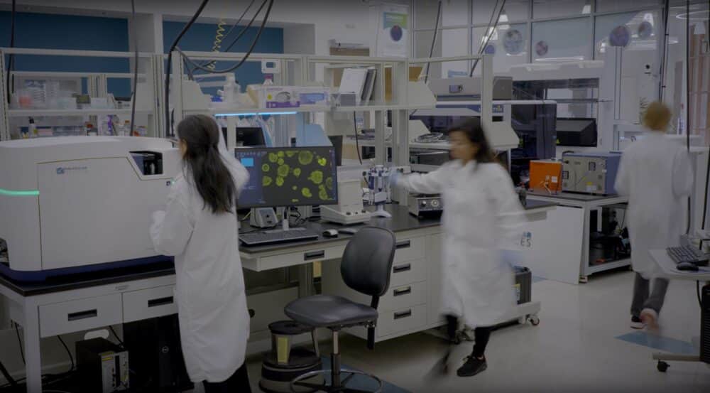 Microplate Readers, AI, and Automated Imaging with Molecular Devices