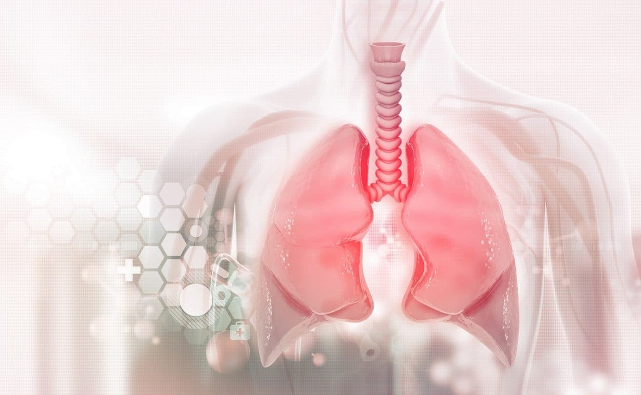 The Rapid Increase of Cutting-Edge Digital Devices for Respiratory Care
