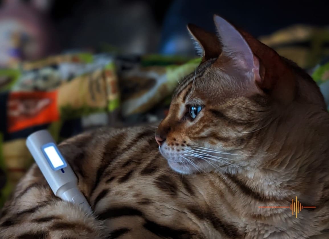 Three Cutting-Edge Devices for Pet Health