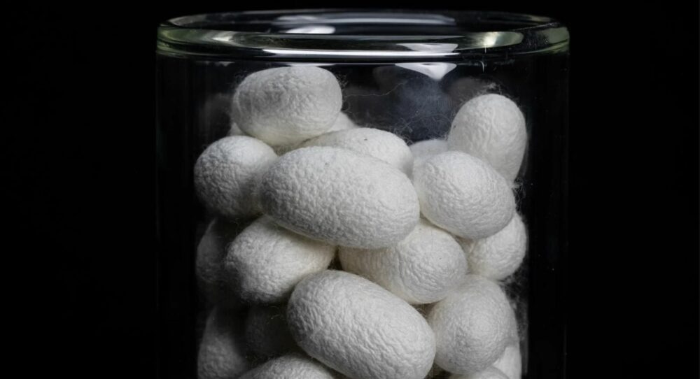 Silk’s Revolutionary Role in Modern Medicine