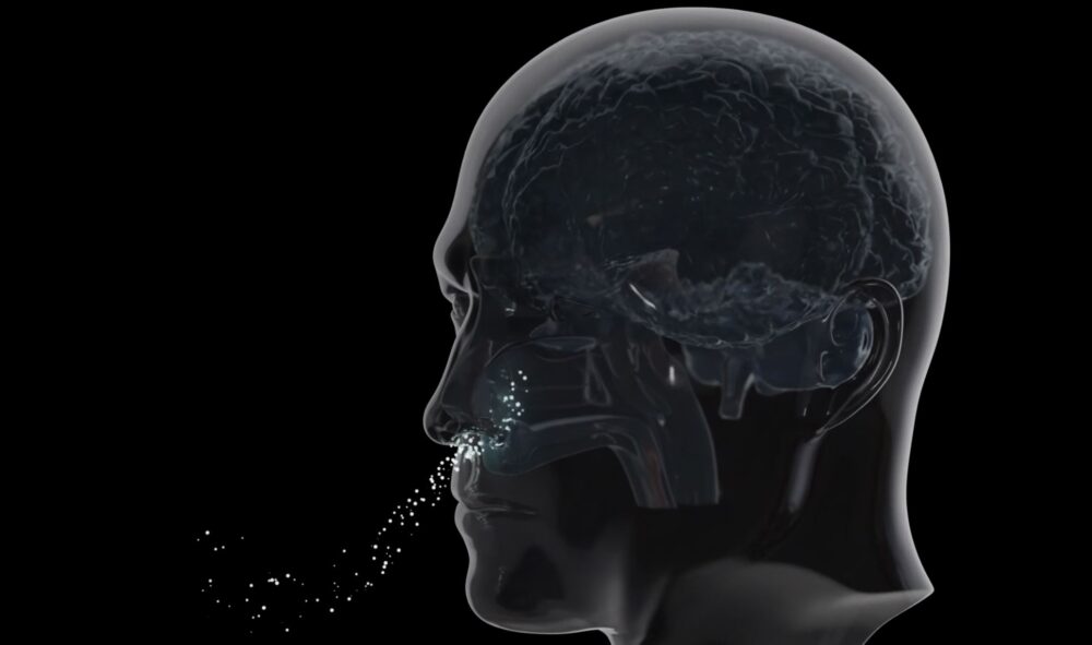 Nanoparticles entering nasal passage. Courtesy of Subsense.